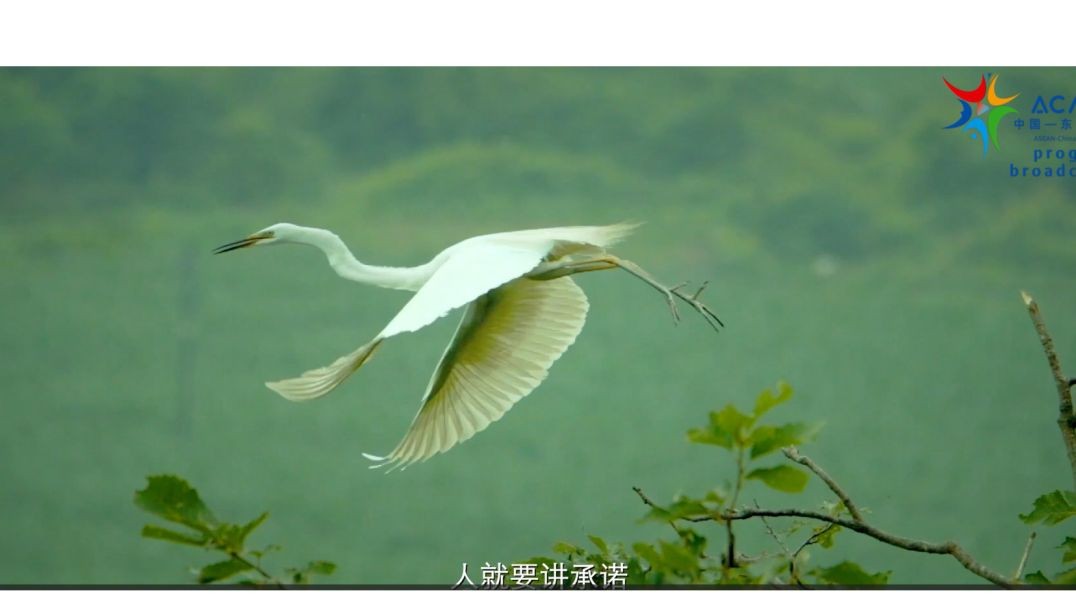 ⁣Promise (Chinese and Malay subtitles)